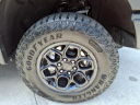 Thumbnail image of 2024 Chevrolet Silverado 1500 at Brandon Auto Mall By Ed Morse