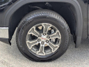Thumbnail image of 2025 GMC Sierra 1500 at PalmChevrolet of Ocala, FL