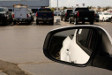 Thumbnail image of 2024 Toyota Tacoma at David Stanley Chevrolet