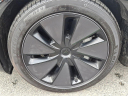 Thumbnail image of 2024 Tesla Model 3 at Lynnes Nissan City Inc
