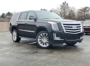 Thumbnail image of 2019 Cadillac Escalade at Milnes Chevrolet, Inc.