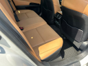 Thumbnail image of 2023 Lexus ES 250 at King Motors