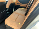 Thumbnail image of 2023 Lexus ES 250 at King Motors