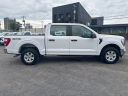 Thumbnail image of 2021 Ford F-150 at WORKTRUX LLC