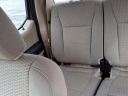 2019 Ford F-150 XLT at Jackson Ford