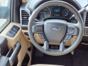 Thumbnail image of 2019 Ford F-150 at Jackson Ford