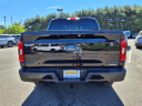 Thumbnail image of 2023 Ford F-150 at Malouf Ford Lincoln