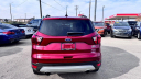 Thumbnail image of 2019 Ford Escape at TWIN CITY AUTO MALL INC
