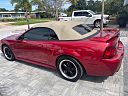 Thumbnail image of 2000 Ford Mustang at United Motowerks, LLC