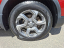 Thumbnail image of 2017 Honda CR-V at Honda of Bridgewater
