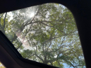 Thumbnail image of 2023 Dodge Hornet at Aventura Chrysler Jeep Dodge Ram