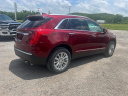 Thumbnail image of 2017 Cadillac XT5 at Mike Bailey Motors