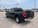 Thumbnail image of 2023 Ford F-150 at Landers Ford North