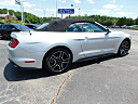 Thumbnail image of 2019 Ford Mustang at Gary Mathews Motors