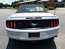 Thumbnail image of 2019 Ford Mustang at Gary Mathews Motors