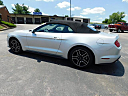 Thumbnail image of 2019 Ford Mustang at Gary Mathews Motors
