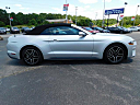 Thumbnail image of 2019 Ford Mustang at Gary Mathews Motors
