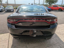 Thumbnail image of 2023 Dodge Charger at JacksonvilleChryslerJeepDodge - USED