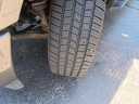 Thumbnail image of 2019 Ford F-150 at Courtesy Acura