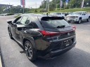 Thumbnail image of 2020 Lexus UX 250h at Moses Auto Mall of Huntington Used