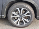 Thumbnail image of 2023 Subaru Forester at Schaller Subaru