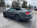 Thumbnail image of 2022 Ford Mustang at Breaman Merrill Ford
