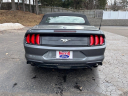Thumbnail image of 2022 Ford Mustang at Breaman Merrill Ford
