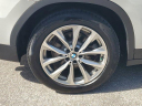 Thumbnail image of 2019 BMW X3 at Infiniti of Fort Myers
