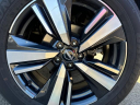 Thumbnail image of 2023 Nissan Rogue at Warner Kia