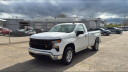 Thumbnail image of 2024 Chevrolet Silverado 1500 at Applegate Chevrolet