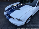 Thumbnail image of 2007 Ford Shelby GT500 at Autohaus of Naples
