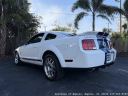 Thumbnail image of 2007 Ford Shelby GT500 at Autohaus of Naples