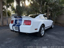 Thumbnail image of 2007 Ford Shelby GT500 at Autohaus of Naples