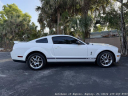Thumbnail image of 2007 Ford Shelby GT500 at Autohaus of Naples
