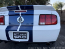 Thumbnail image of 2007 Ford Shelby GT500 at Autohaus of Naples