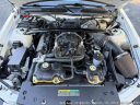 Thumbnail image of 2007 Ford Shelby GT500 at Autohaus of Naples