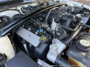 Thumbnail image of 2007 Ford Shelby GT500 at Autohaus of Naples