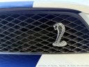 Thumbnail image of 2007 Ford Shelby GT500 at Autohaus of Naples