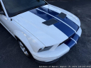 Thumbnail image of 2007 Ford Shelby GT500 at Autohaus of Naples