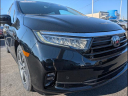 Thumbnail image of 2023 Honda Odyssey at Gary Force Honda