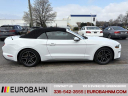 Thumbnail image of 2020 Ford Mustang at EurobahnBmwMiniMercedesBenz of Greensboro, NC