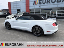 Thumbnail image of 2020 Ford Mustang at EurobahnBmwMiniMercedesBenz of Greensboro, NC