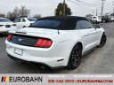 Thumbnail image of 2020 Ford Mustang at EurobahnBmwMiniMercedesBenz of Greensboro, NC