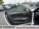 Thumbnail image of 2020 Ford Mustang at EurobahnBmwMiniMercedesBenz of Greensboro, NC