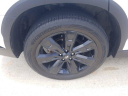 Thumbnail image of 2023 Hyundai PALISADE at GregLeblancHyundai New