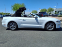 Thumbnail image of 2022 Ford Mustang at Lunde's Peoria Volkswagen