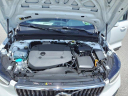 Thumbnail image of 2024 Volvo XC40 at Astorg Auto of Charleston