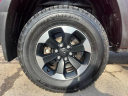 Thumbnail image of 2021 Ram 1500 at Golling Chrysler Jeep Dodge Ram of Chelsea