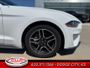 Thumbnail image of 2022 Ford Mustang at Lewis Ford Lincoln of Dodge City