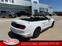 Thumbnail image of 2022 Ford Mustang at Lewis Ford Lincoln of Dodge City